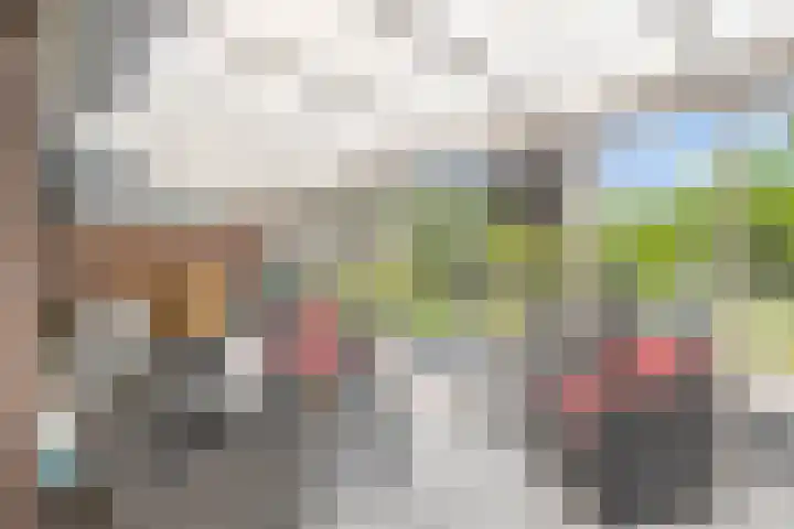 Breukrand 402 Uden foto 3