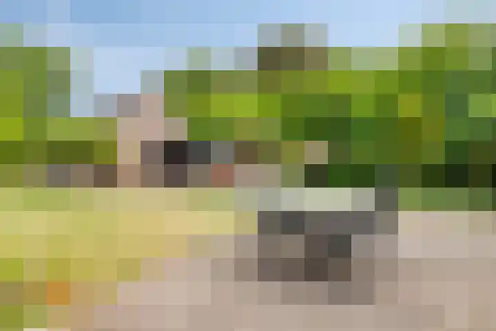 Breukrand 402 Uden thumbnail 31