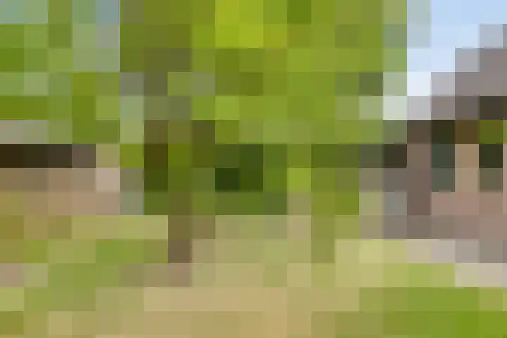 Breukrand 402 Uden thumbnail 33