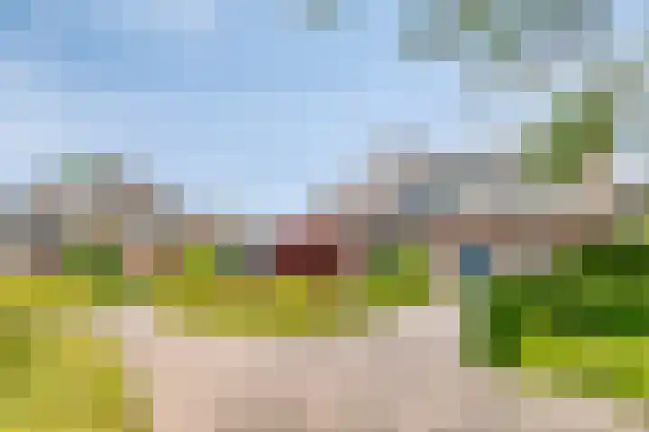 Breukrand 402 Uden thumbnail 5