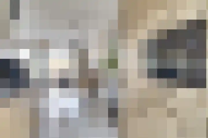 Breukzone 18 Boekel thumbnail 11