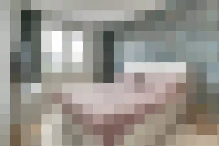Breukzone 18 Boekel thumbnail 16