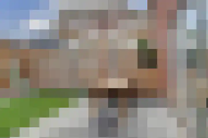 Breukzone 18 Boekel thumbnail 27