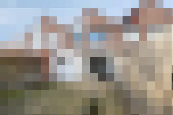 Breusterweiden 26 Eijsden thumbnail 22