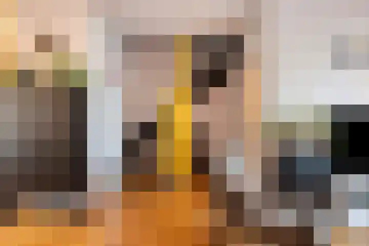Breusterweiden 26 Eijsden thumbnail 7