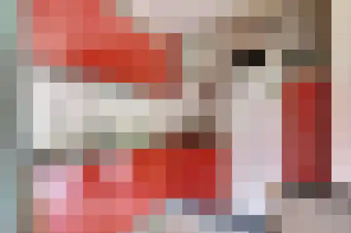 Breyenrode 61 Schinnen thumbnail 14