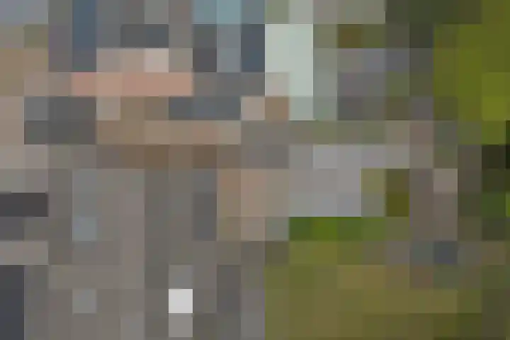 Breyenrode 61 Schinnen thumbnail 38