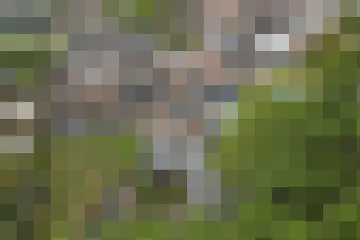 Breyenrode 61 Schinnen thumbnail 39