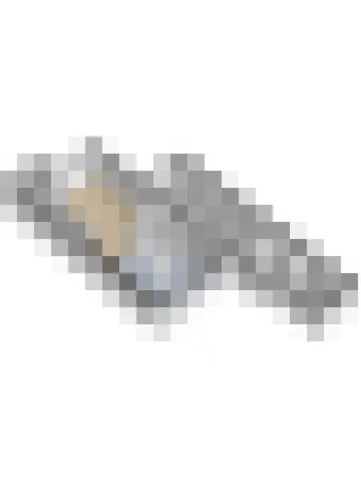 Breyenrode 61 Schinnen thumbnail 44