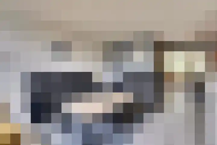 Breyenrode 61 Schinnen thumbnail 9