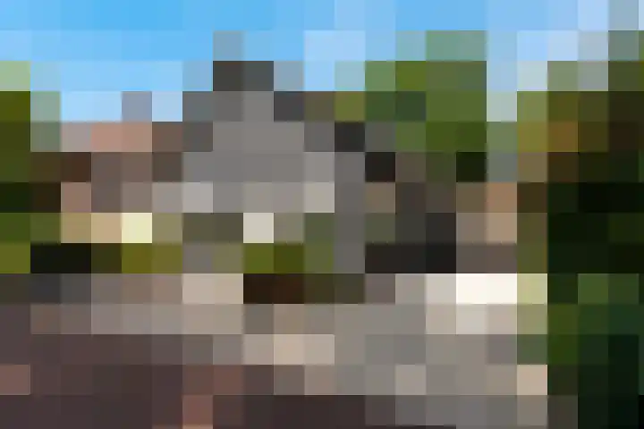Briedélaan 1 Maarn