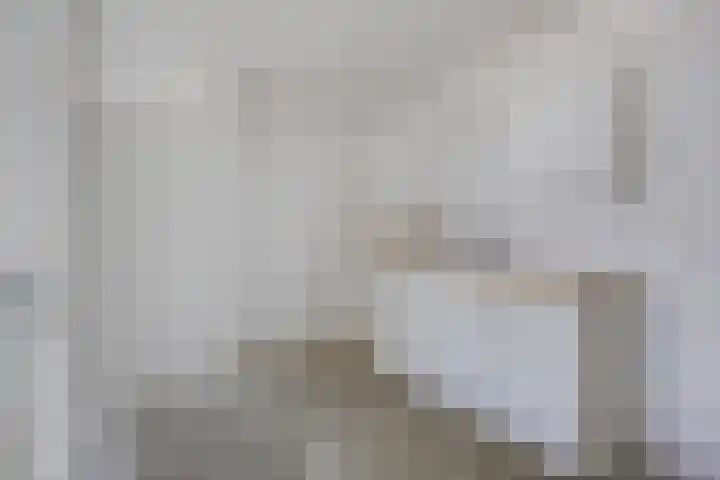 Brielselaan 12 C Rotterdam thumbnail 10