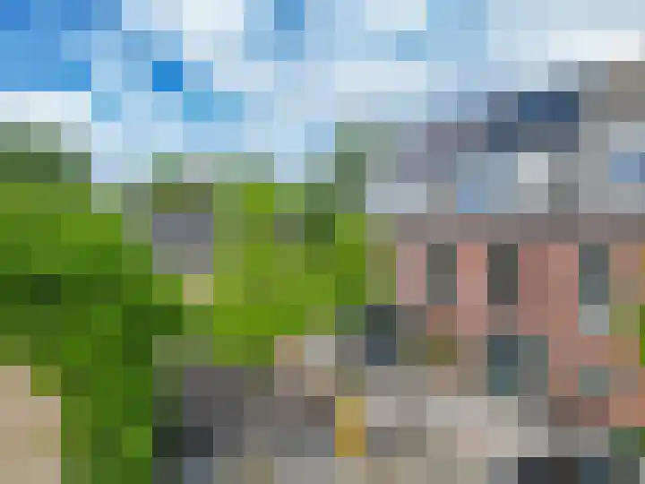 Brielselaan 12 C Rotterdam thumbnail 16