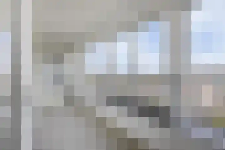 Brielselaan 12 C Rotterdam thumbnail 19