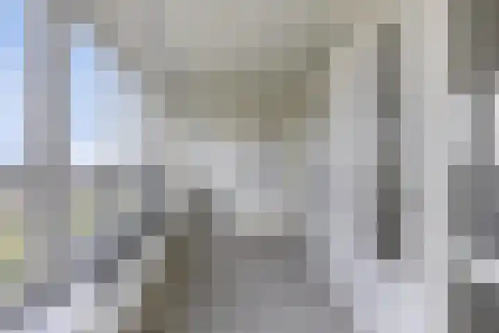 Brielselaan 12 C Rotterdam thumbnail 20