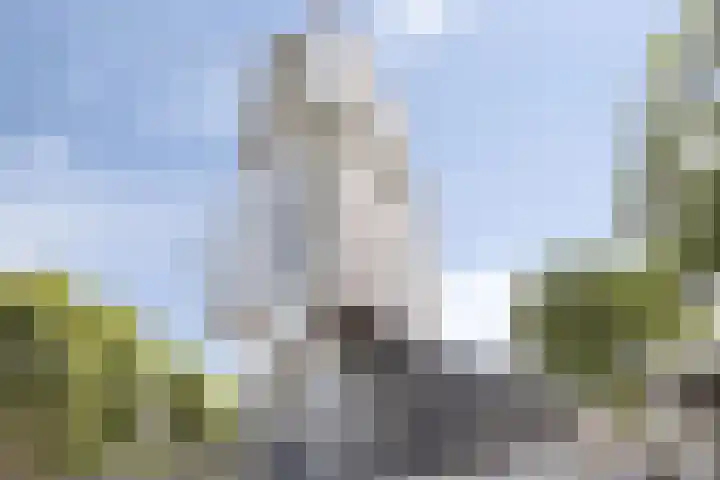Brielselaan 12 C Rotterdam thumbnail 23