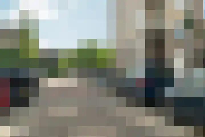 Brielselaan 12 C Rotterdam thumbnail 4