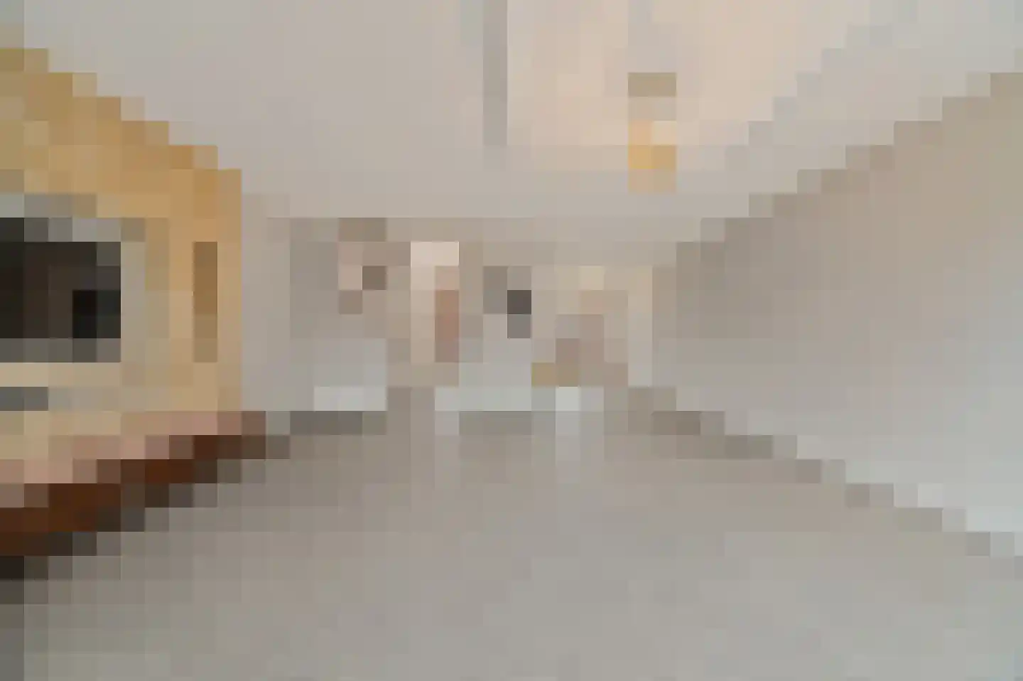 Brielselaan 40 A Rotterdam thumbnail 12