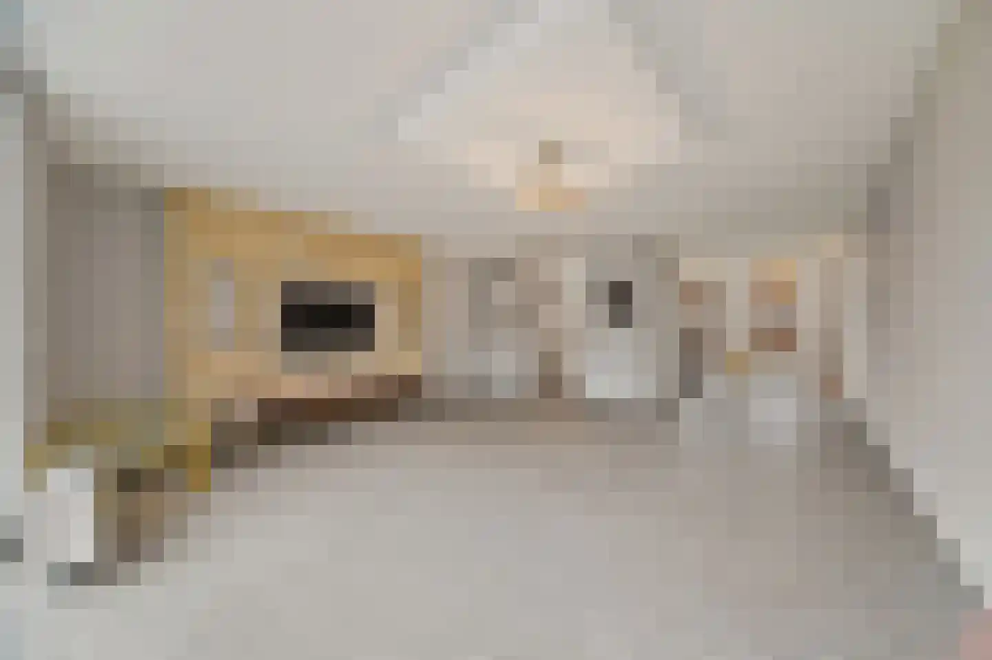 Brielselaan 40 A Rotterdam thumbnail 18