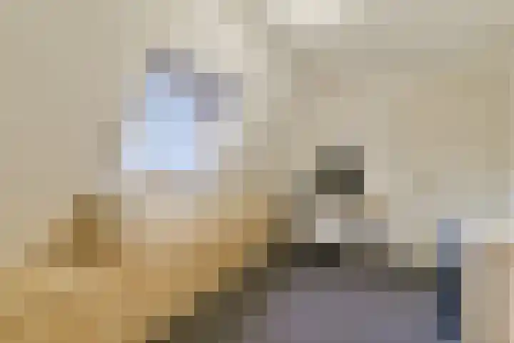 Brielselaan 40 A Rotterdam thumbnail 35