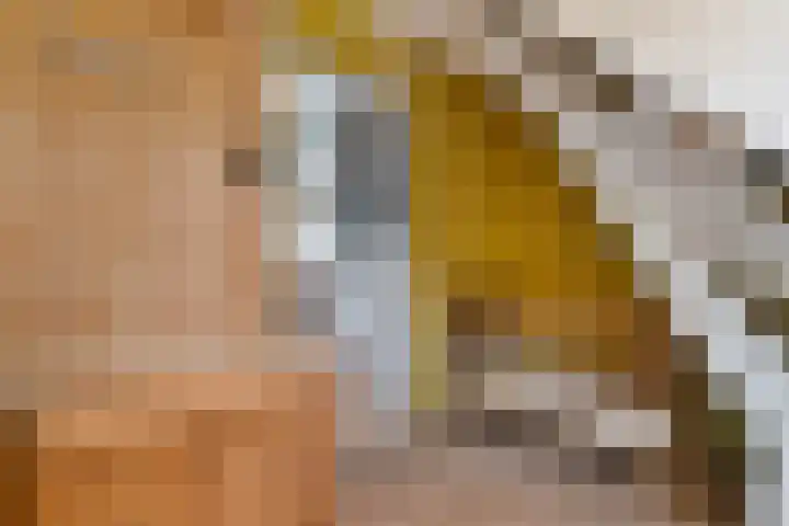 Brielselaan 40 A Rotterdam thumbnail 4