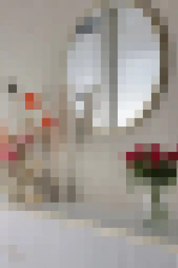 Brielsemeer 11 Zoetermeer thumbnail 10