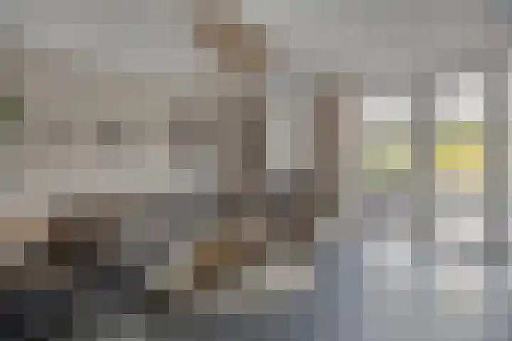 Brielsemeer 11 Zoetermeer thumbnail 15