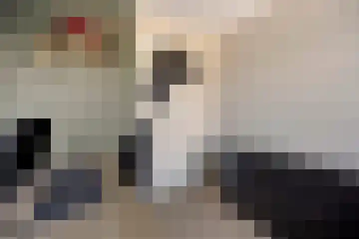 Brielsemeer 11 Zoetermeer thumbnail 33