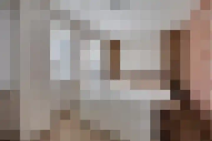 Brielsemeer 11 Zoetermeer thumbnail 4