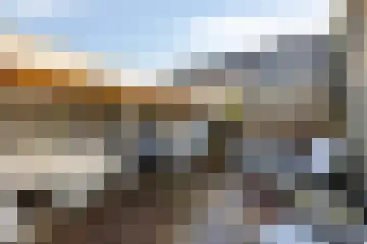 Brielsemeer 11 Zoetermeer thumbnail 50