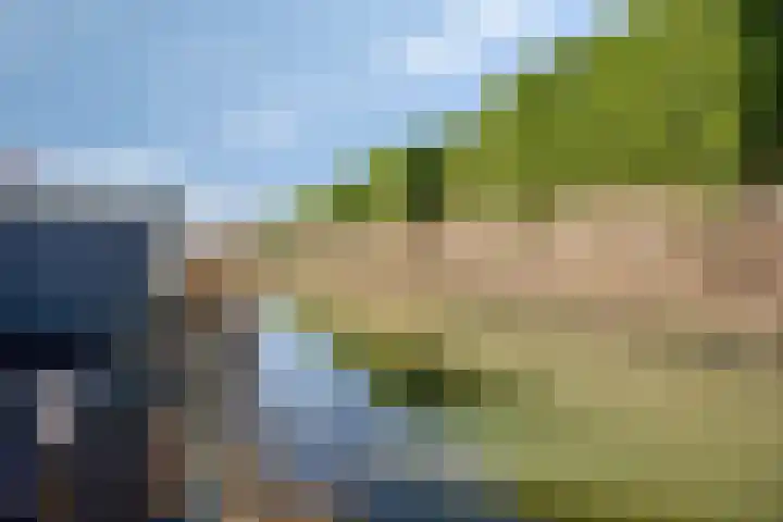Brielsemeer 11 Zoetermeer thumbnail 53