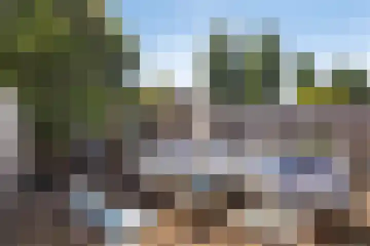 Bries 17 Noordwijk thumbnail 21