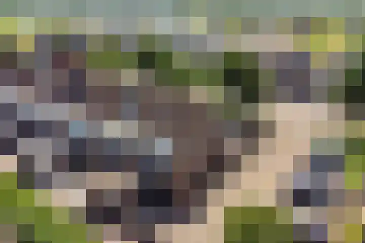Bries 17 Noordwijk thumbnail 32