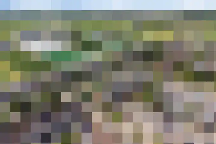 Bries 17 Noordwijk thumbnail 35
