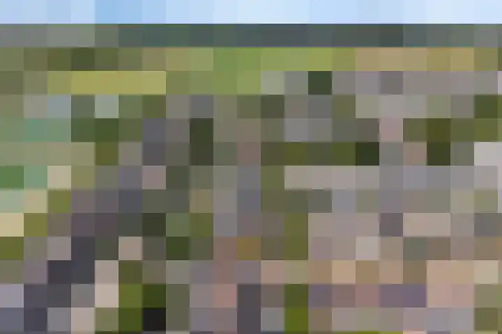 Bries 17 Noordwijk thumbnail 36