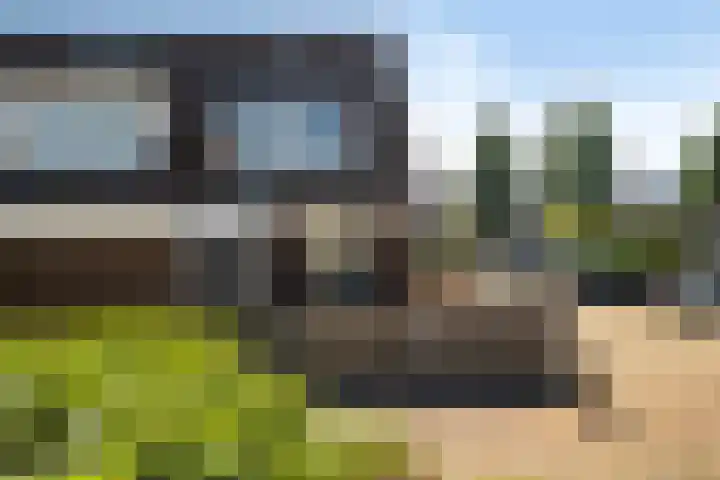 Bries 17 Noordwijk thumbnail 6