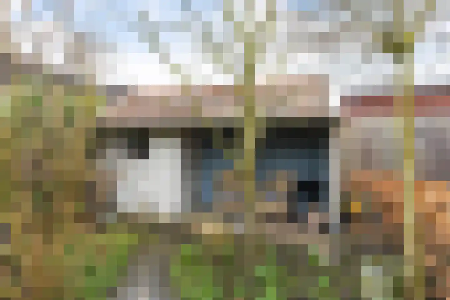Brigade 18 Steenwijk thumbnail 43