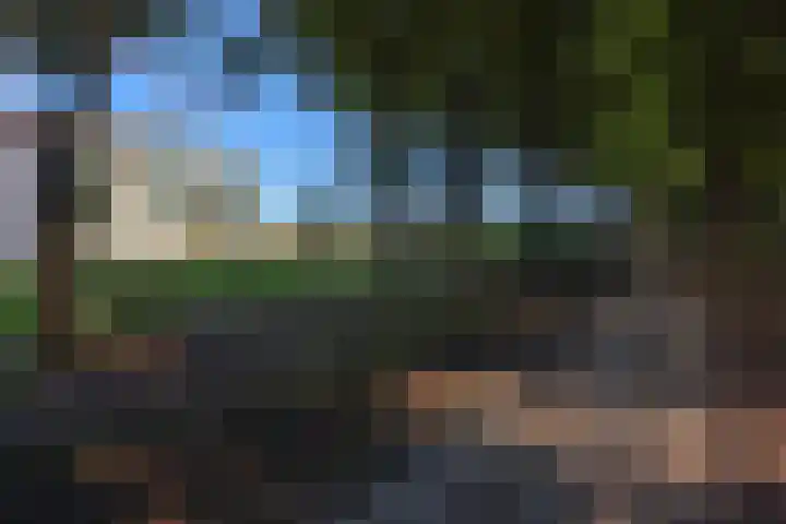 Brigadelaan 15 Ede thumbnail 4