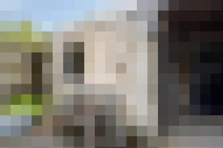 Brigidastraat 36 Breda thumbnail 30