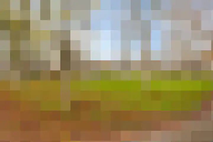 Brigidastraat 36 Breda thumbnail 32