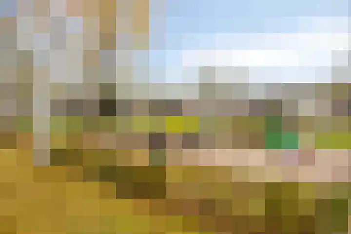 Brigidastraat 36 Breda thumbnail 33