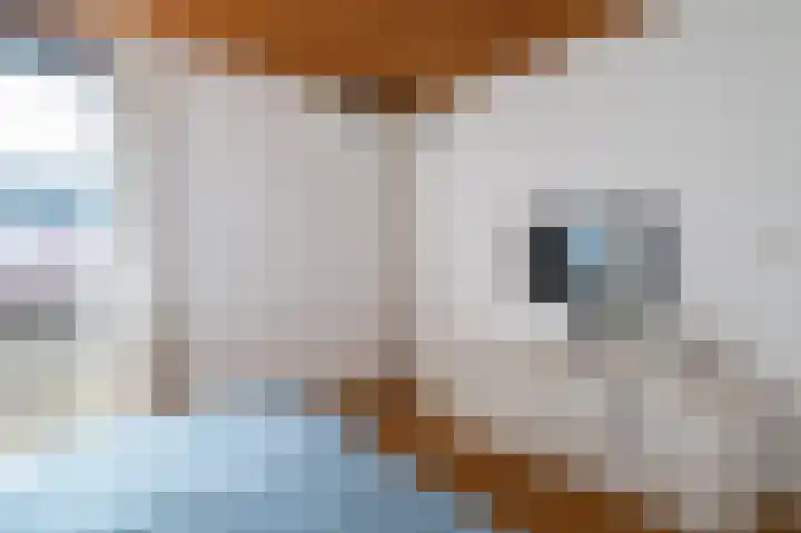 Brikkebekker 55 Landgraaf thumbnail 13
