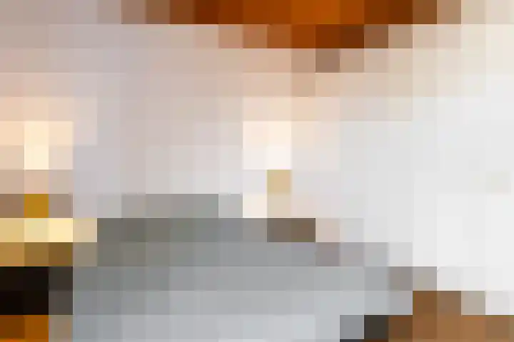 Brikkebekker 55 Landgraaf thumbnail 15