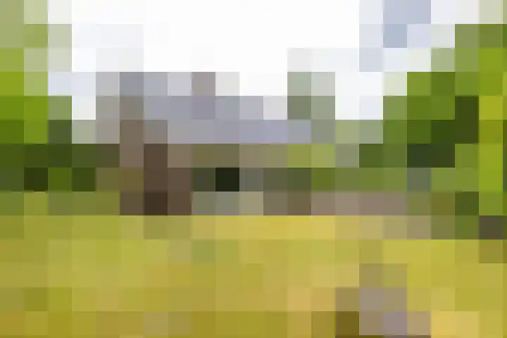 Briklaan 28 Leek thumbnail 54