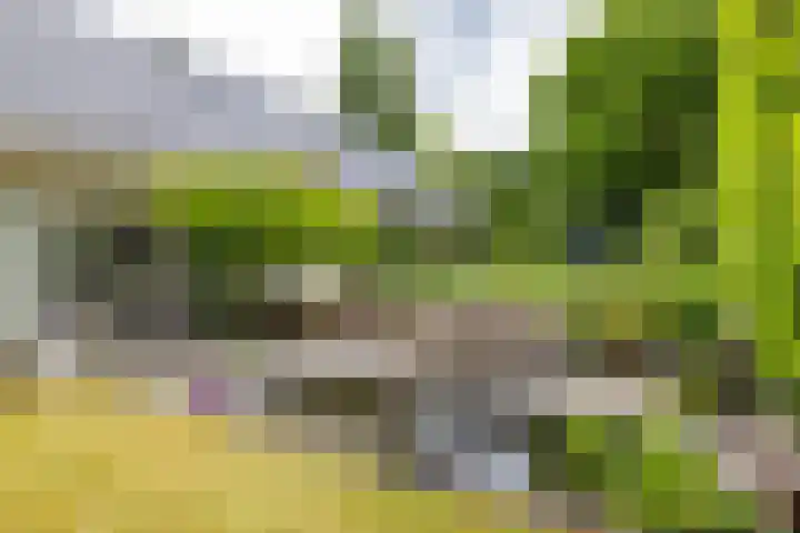 Briklaan 28 Leek thumbnail 55