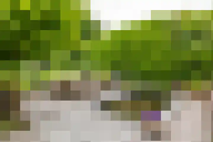 Briklaan 28 Leek thumbnail 57