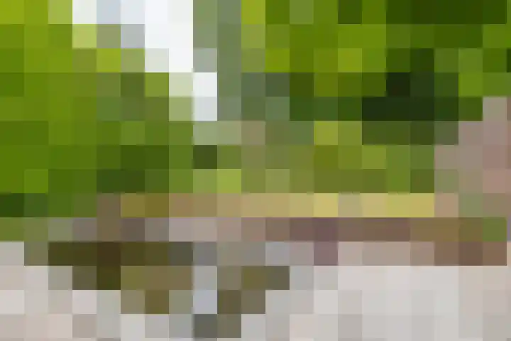 Briklaan 28 Leek thumbnail 59
