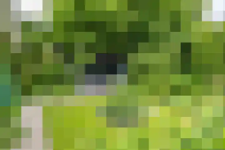 Briklaan 28 Leek thumbnail 61
