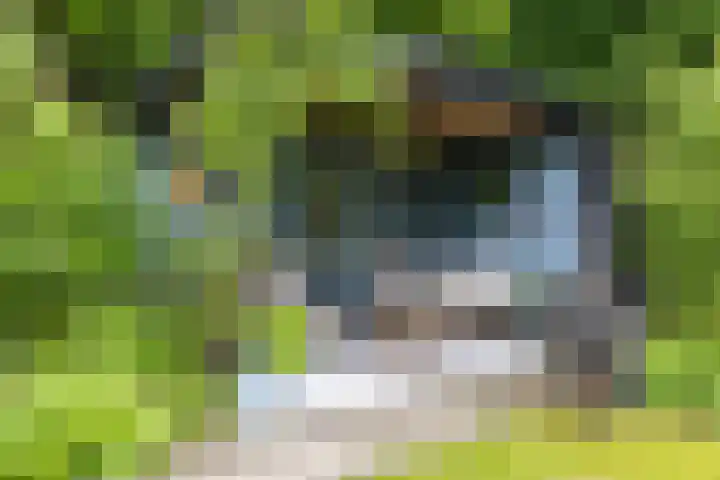 Briklaan 28 Leek thumbnail 62