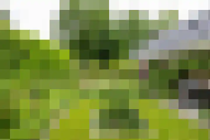 Briklaan 28 Leek thumbnail 64